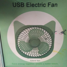 Electric Fan